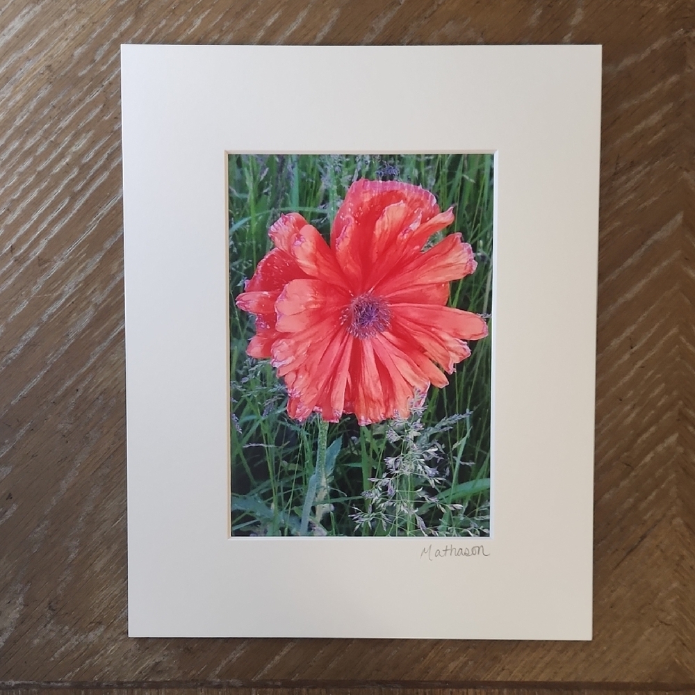 Matted Photography Wall Art by Butterfly Rising Designs